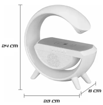 CARGADOR DE LUZ INTELIGENTE N69W